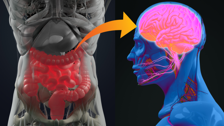 Neurologiska sjukdomar och mikrobiomet – vad ska man tro?